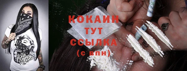 шишки Балабаново